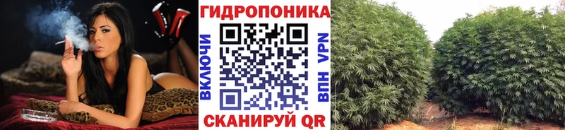 Магазины продажи наркотиков Новотитаровская Кодеин COCAIN A-PVP KRAKEN Амфетамин Гашиш Конопля Меф