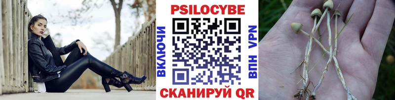 Псилоцибиновые грибы мицелий  mega ТОР  Новотитаровская  купить наркоту 