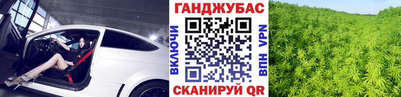купить наркоту  Новотитаровская  Канабис план 